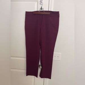 Ann Taylor Factory. Straight Leg Ankle Pants.